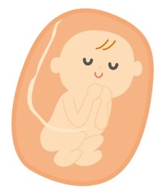 �J�C�e�L�I���S�͐Ԃ��������S